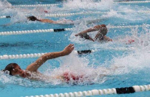 Natation - un sport complet