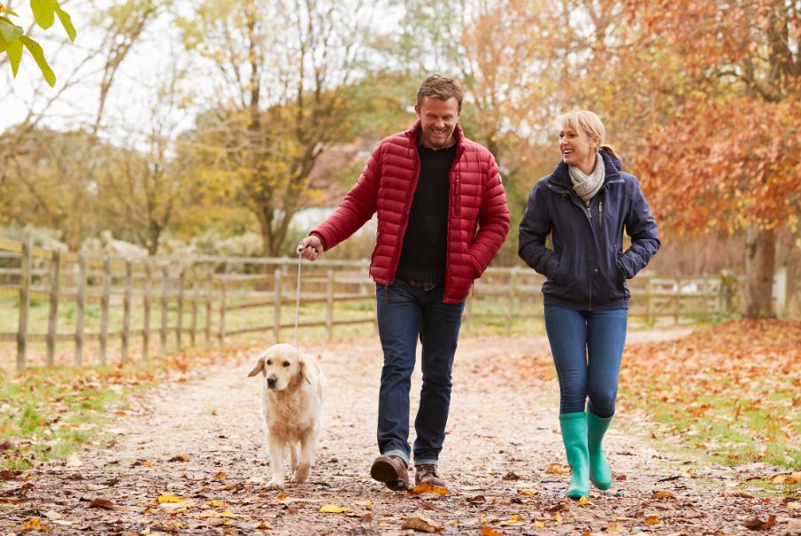 La promenade du chien pour perdre du poids.