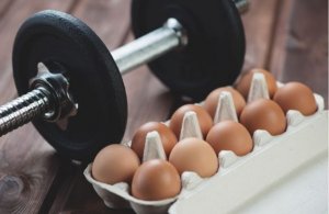 Les aliments pour prendre du muscle