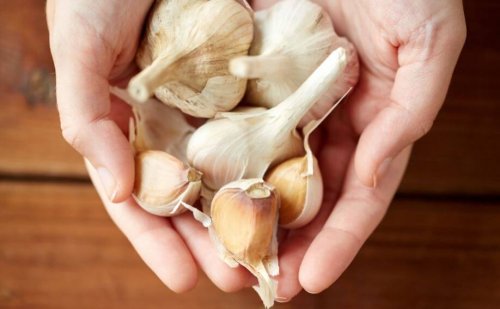 Les bienfaits de l'ail