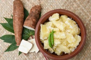 Les propriétés du yucca