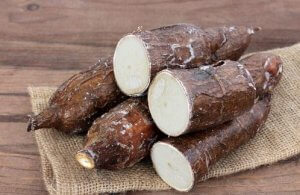 Yucca