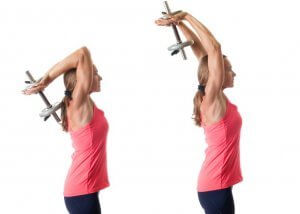 Développer les triceps