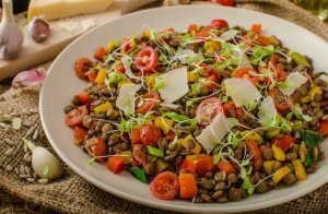 Salade de lentilles