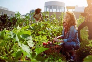 Consommez des aliments de saison pour être en bonne santé