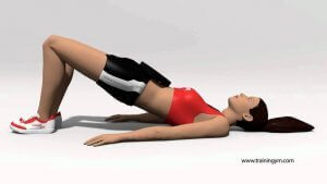 Elevation des hanches