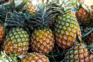 Un étalage d'ananas