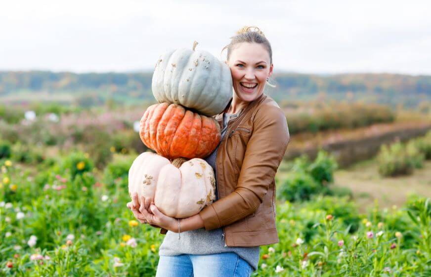 Idées de recettes avec de la courge