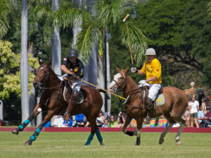 Match de polo