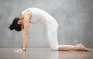 la posture du chat pour combattre les douleurs aux cervicales