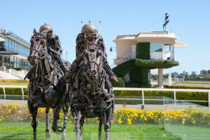 Visite sportive de Buenos Aires