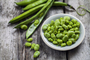 les sources de protéines végétales sont variées et nombreuses !