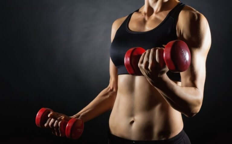 Séances de musculation globale