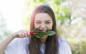 Aliments riches en fer d'origine animale et végétale