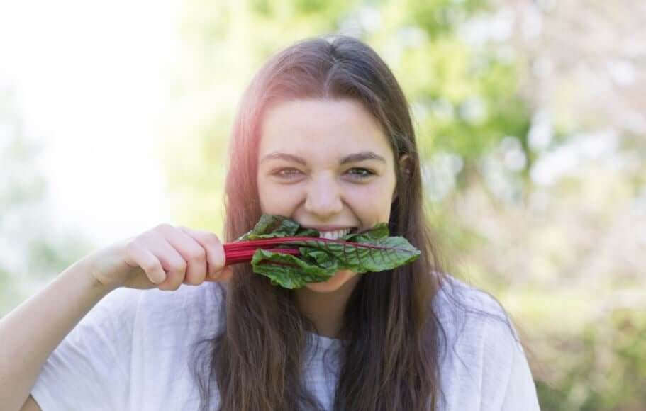 Aliments riches en fer d'origine animale et végétale