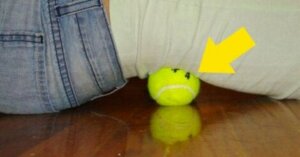 Mobilisation du dos avec une balle de tennis contre les douleurs dorsales.