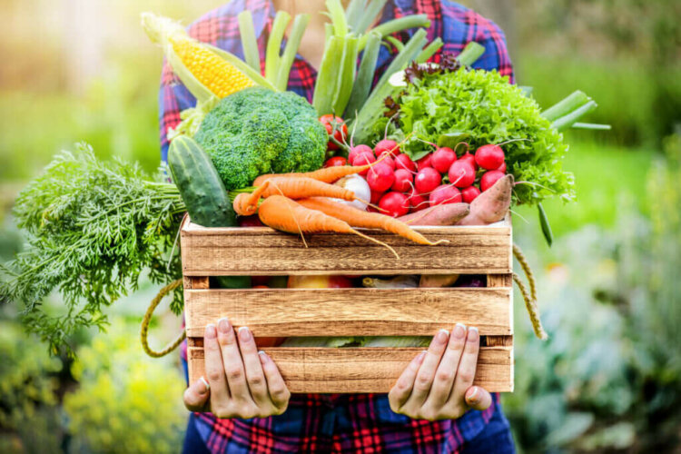 3 bienfaits des fruits et légumes