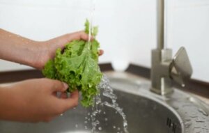 Les différents types de laitues